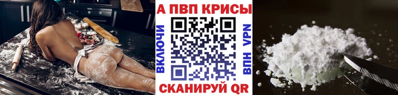 Alpha PVP СК КРИС  Лодейное Поле 