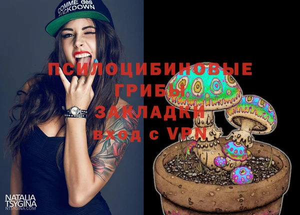 дживик Волоколамск