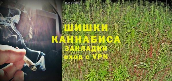 сатива Володарск