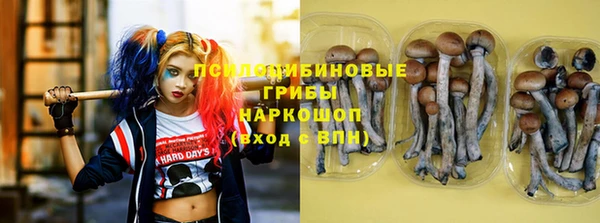 дживик Волоколамск